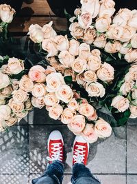 Low section of person standing on multi colored flower