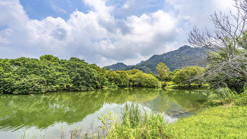 Scenic view of lake by trees against sky