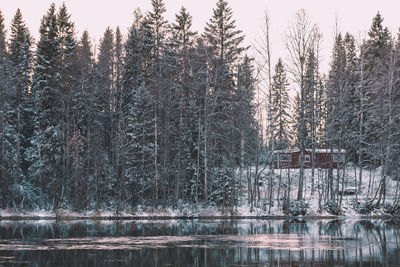 Scenic view of lake in forest during winter