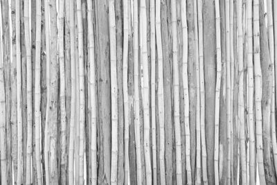 Full frame shot of wooden fence