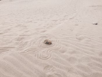 Sand dunes at beach