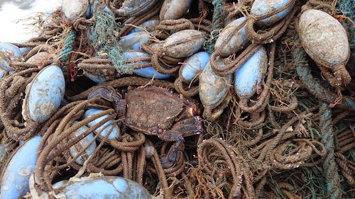 Close-up of fishing net