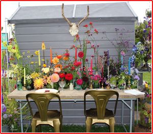 Potted plants in backyard