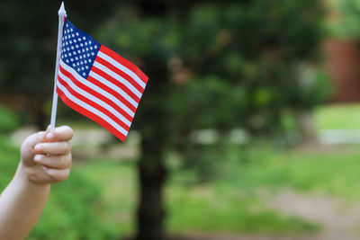 Cropped hand holding american flag at park