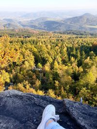 Low section of person on landscape against trees