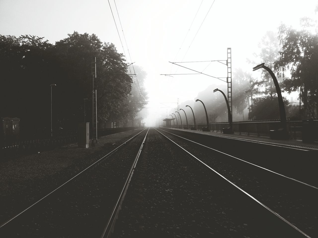 transportation, railroad track, the way forward, diminishing perspective, rail transportation, tree, vanishing point, clear sky, public transportation, sky, connection, power line, railway track, long, electricity pylon, road, no people, outdoors, empty, nature