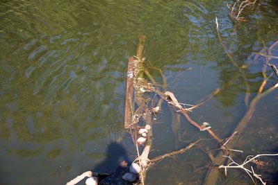 Scenic view of lake