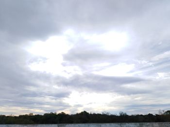 Low angle view of trees on field against sky