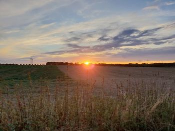 Scenic view of field against sky during sunset