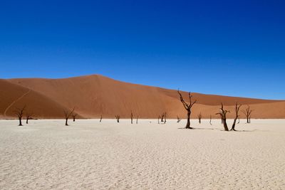 Scenic view of desert against clear blue sky