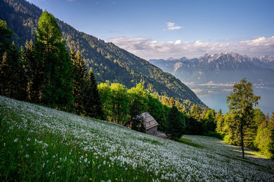 Scenic view of mountains against sky