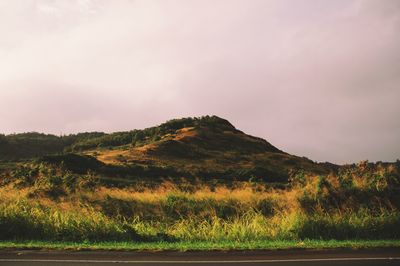 Scenic view of landscape against sky