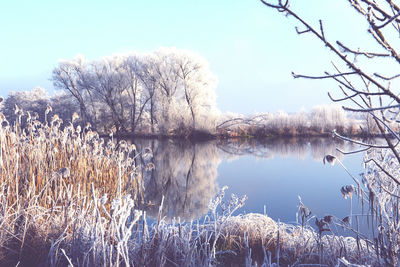 Reflection of trees in water against sky