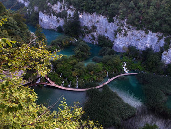 High angle view of lake in forest