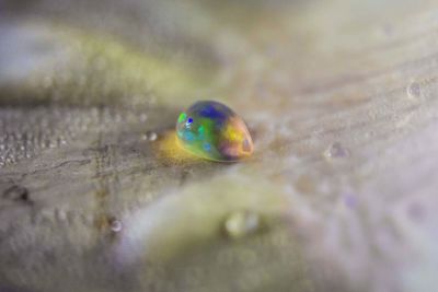 Close-up of blue water drop on land