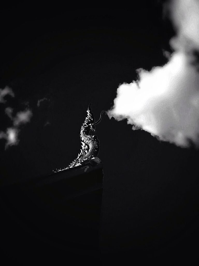 low angle view, sky, night, copy space, dusk, built structure, no people, illuminated, silhouette, outdoors, architecture, nature, cloud - sky, weather, high section, close-up, one animal, sculpture, dark