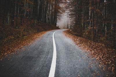 Road amidst trees against sky