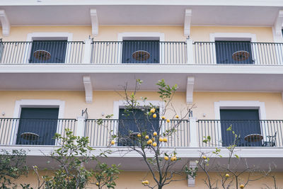 Low angle view of potted plants on balcony of building