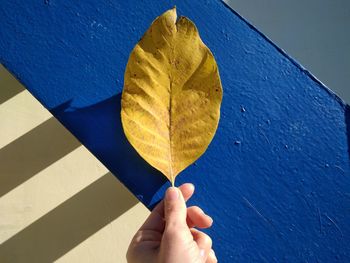 Close-up of hand holding blue umbrella