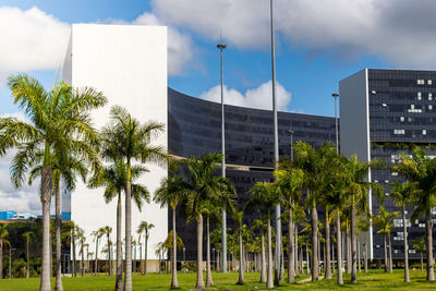 Trees and modern building against sky