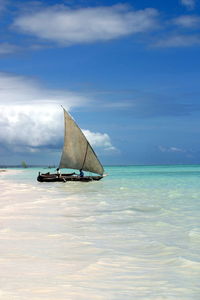 Sailboat sailing on sea against sky