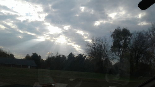 Silhouette of bare trees against cloudy sky