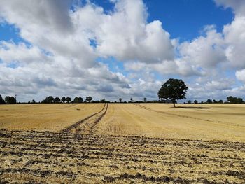 Scenic view of agricultural field against sky