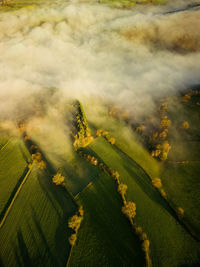 High angle view of landscape