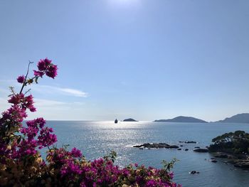 Scenic view of sea against clear sky