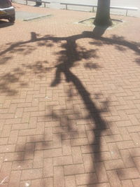 Shadow of people on footpath