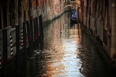 Man on wooden post in canal