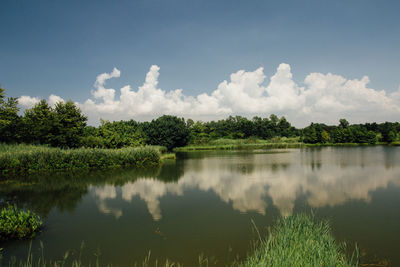 Scenic shot of calm countryside lake