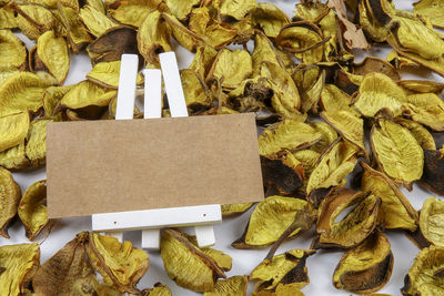 Close-up of dry leaves and easel over white background