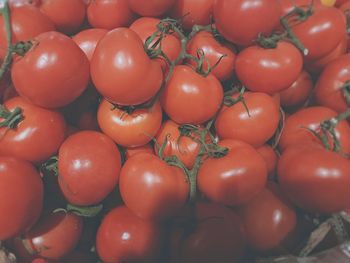 Full frame shot of tomatoes