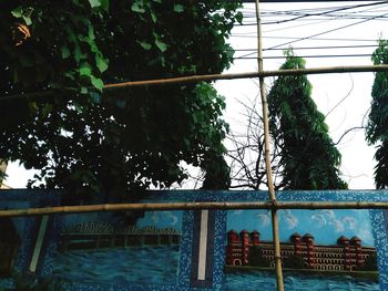 Low angle view of text on tree against sky