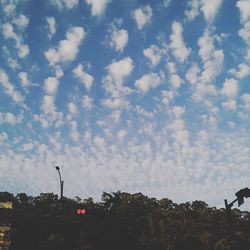 Low angle view of trees against sky