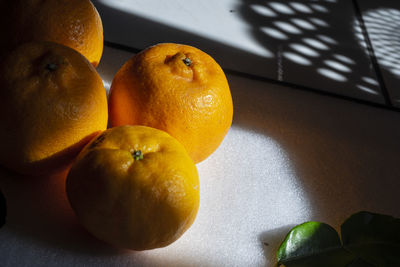 Close-up of oranges on table