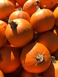 Full frame shot of pumpkins