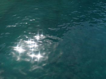 High angle view of fish swimming in sea