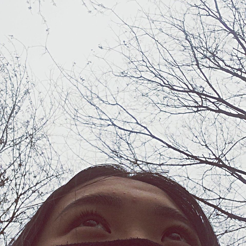 low angle view, bare tree, tree, architecture, built structure, building exterior, branch, sky, part of, clear sky, high section, outdoors, day, religion, no people, cropped, statue, art and craft, sculpture