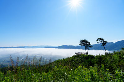 sky