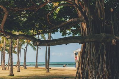 Scenic view of sea