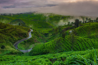 Scenic view of land against sky