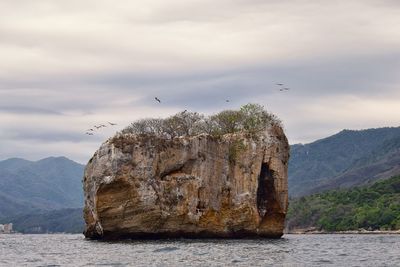 Seagull flying over sea against mountain range