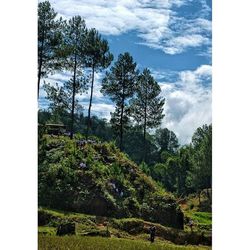 Scenic view of landscape against cloudy sky