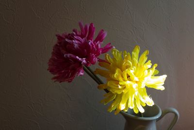 Close-up of yellow flower