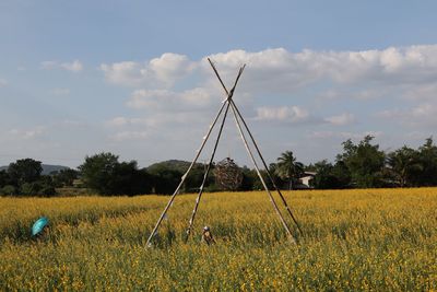 Plants growing on field against sky