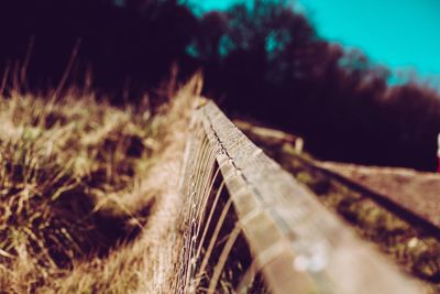 Close-up of wood