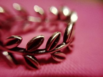 Close-up of pink flower