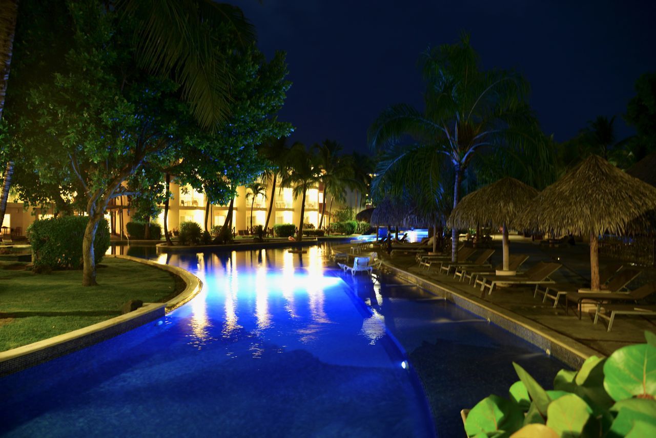 REFLECTION OF TREES IN SWIMMING POOL AT NIGHT